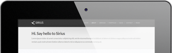 网页版短信攻击